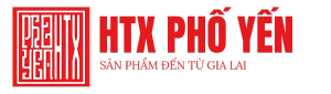 Hợp Tác Xã Phố Yến